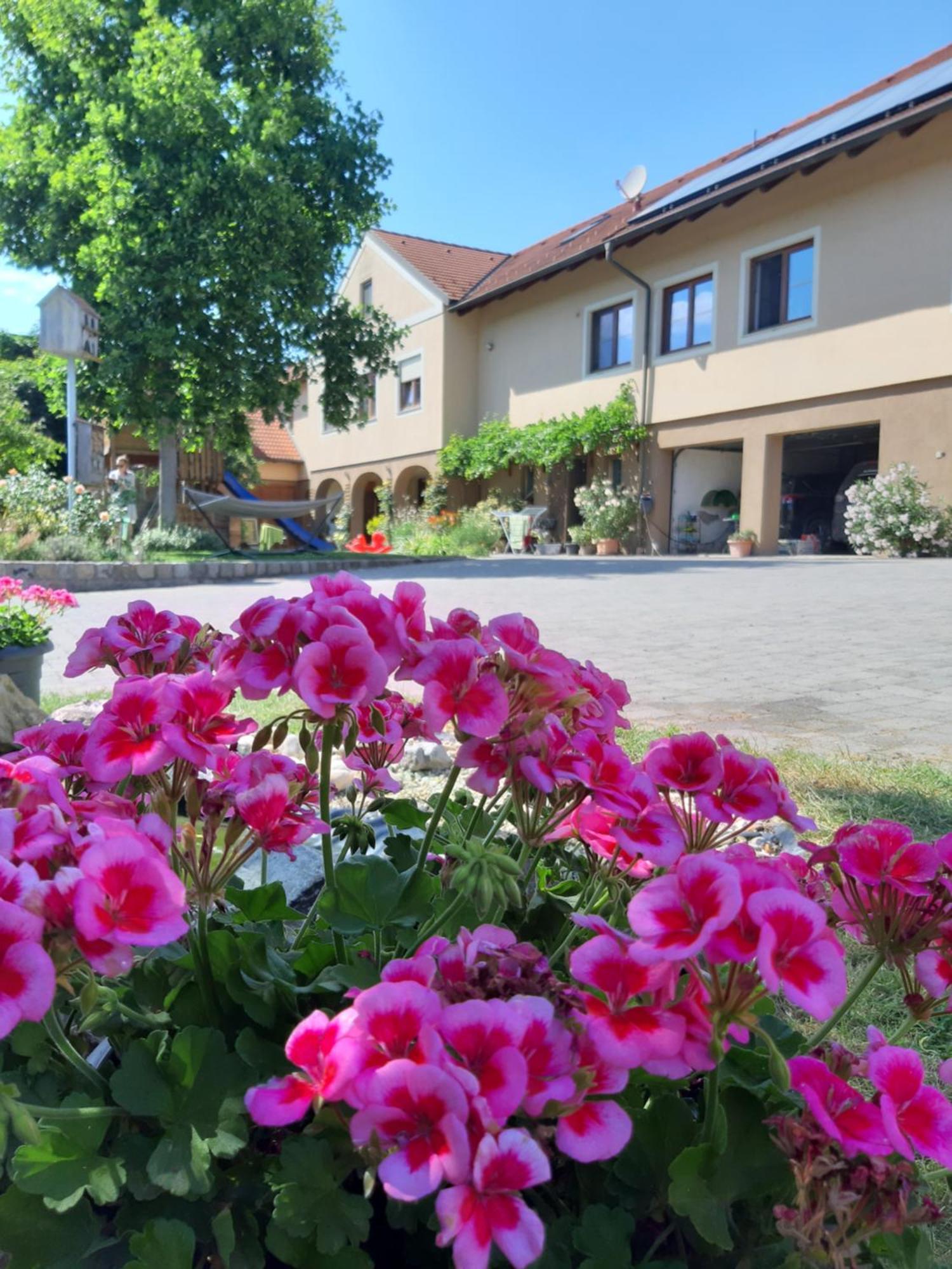 Am Arkadenhof Apartment Deutsch Haslau Bagian luar foto